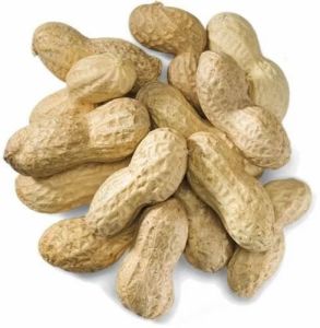 Groundnut Kernels