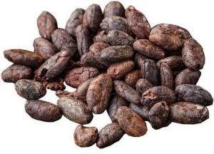 Premium Cocoa Beans