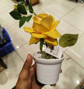 Mini Faux Plant Pot Set