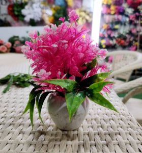Small Decorative Plant Pot