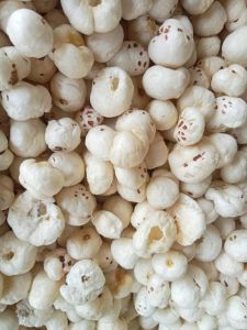 5 Suta Makhana