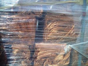 Copper Mulberry