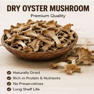 Dry Oyster Mushroom