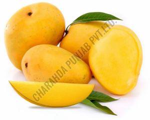 Fresh Sweet Mango