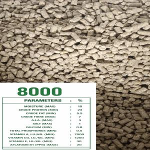 Cattle Feed