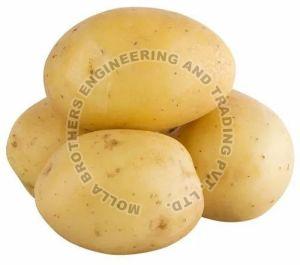 Brown A Grade Fresh Potato