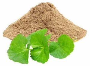Brahmi Leaves Powder