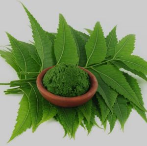Neem Powder