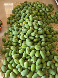Fresh Raw Kesar Mango