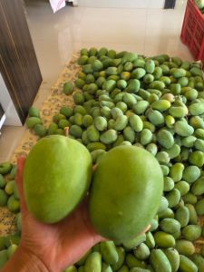 Farm Fresh Kesar Mango