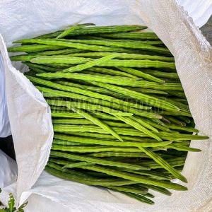 Fresh Export Quality Drumsticks