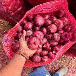 Fresh Nashik Onion