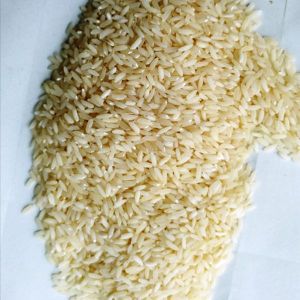 Short Grain BPT Rice