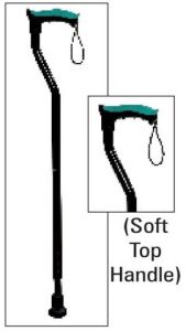 Black Walking Stick