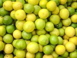 Fresh Lemon