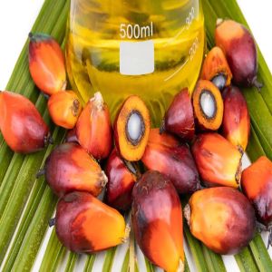 Palm Oil