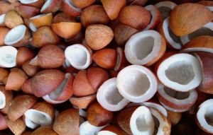 Premium Grade Dried Copra Coconut