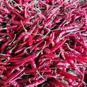 Teja Red Chilli