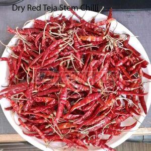 Dry Teja Stem Red Chilli