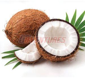 Fresh Coconut