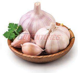 Fresh Garlic