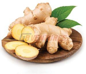 Fresh Ginger