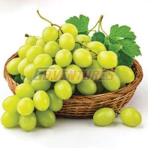 Fresh Grapes