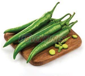 Fresh Green Chilli