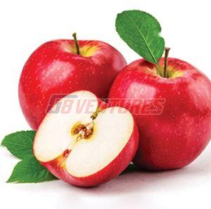 Fresh Red Apple