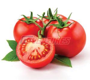 Fresh Tomato