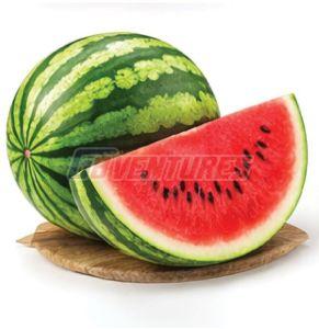 Fresh Watermelon
