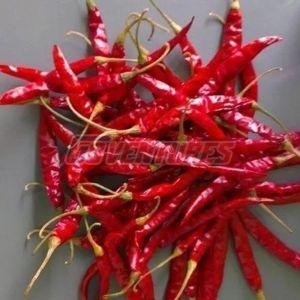 Mahi Stemless Red Chilli