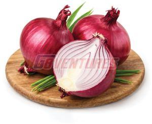 Red Onion