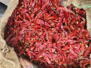 Stemless Armour Dry Red Chilli