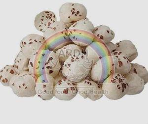 7 Suta Phool Makhana