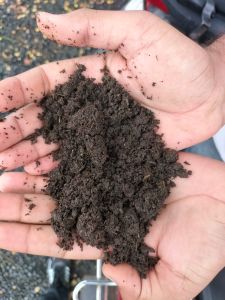 Vermicompost Fertilizer Powder