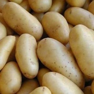 Fresh Chipsona Potato