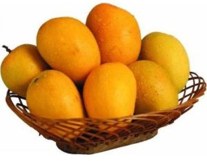 Fresh Hapus Mango