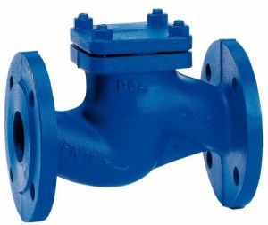 Heavy Duty Lift Check Valve