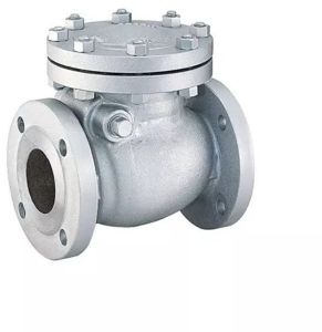 Industrial Swing Check Valve