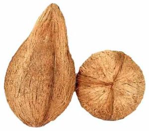 Semi Husked Coconut Shell