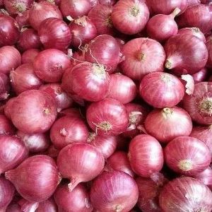 Nashik Fresh Pink Onion