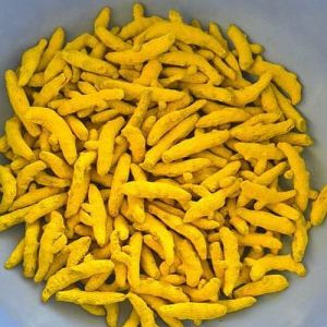 Natural Dry Turmeric Finger