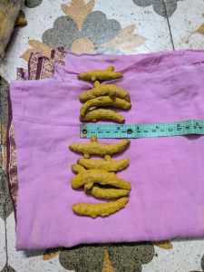 Natural Dry Turmeric Finger