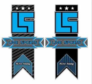 Personalized Cricket Bat Sticker