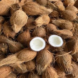 Semi Husked Coconut