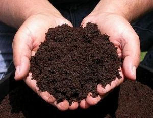 Organic Fertilizers