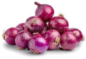 Fresh Bellary Red Onion
