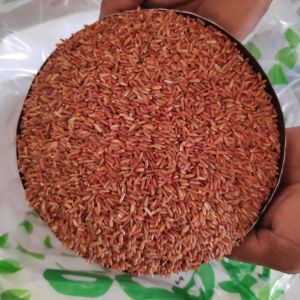 Red Rice
