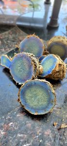 Fresh Black Turmeric Root, Size- 100g To 200g